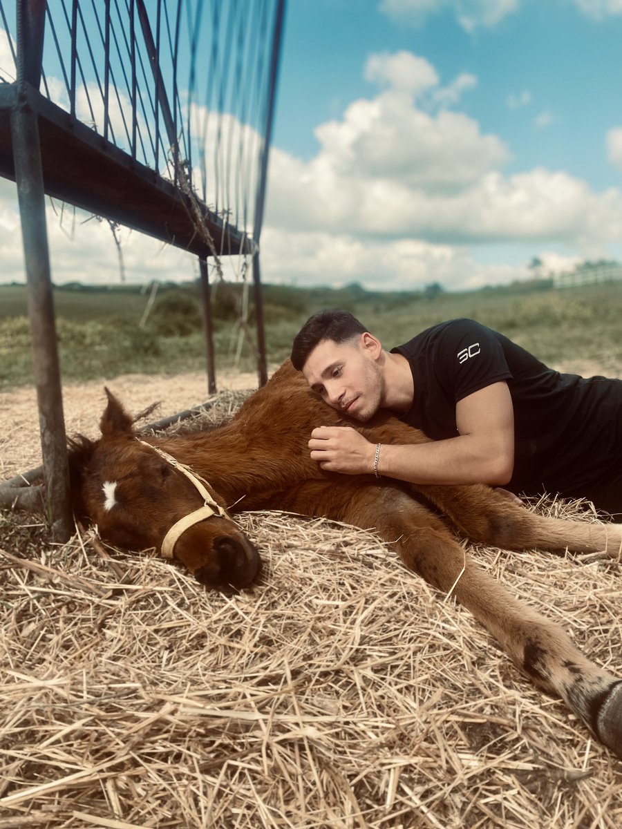 Beni nalbantım uyutsun…