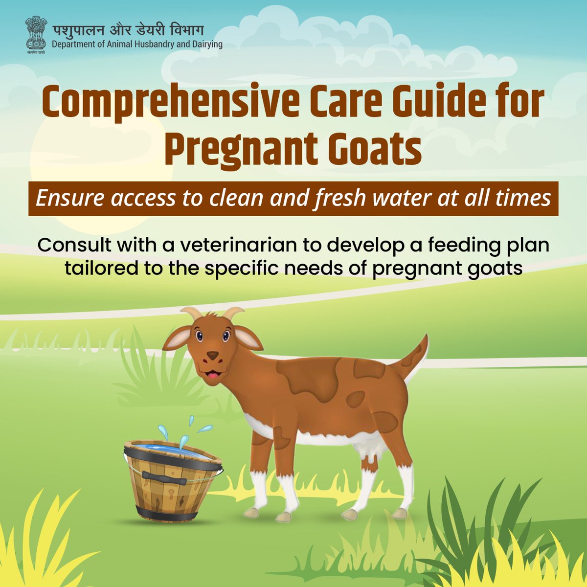 Hydration and Expert Guidance: Keep pregnant goats hydrated with clean water and collaborate with a veterinarian for a customized feeding plan. #PregnantGoats #LivestockHealth #VeterinaryCare