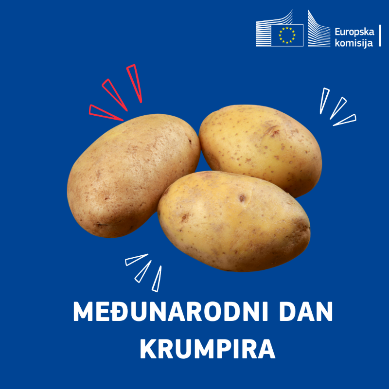 EK_Hrvatska's tweet photo. Jučer je obilježen Međunarodni dan krumpira! 🌍➡️💚
Potječe iz južnoameričkih Anda, a u 16. stoljeću stigao je u 🇪🇺 i od tada se proširio po cijelom svijetu, postajući ključna namirnica u mnogim prehrambenim kulturama. ✨
#EUFood https://t.co/wwkRAerPVI