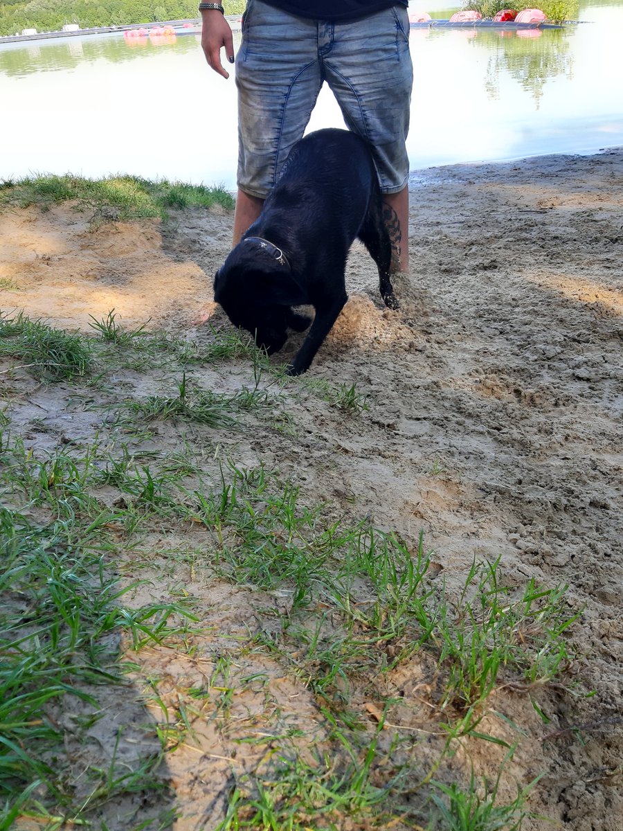 Hä Sand ist ein super Peeling,  stell dich mal nicht so an ich helfe nur 😇😘🐶