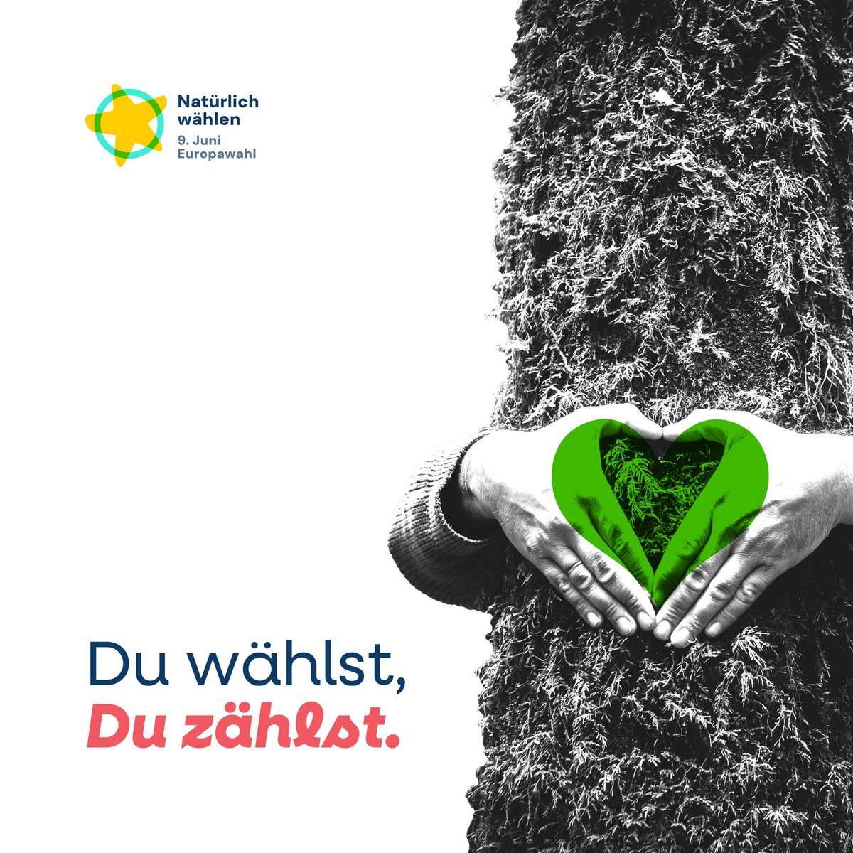 In einer Woche, am 9. Juni, ist #Europawahl.  Diese Wahl ist wichtig, denn der Einfluss des Europäischen Parlaments ist nicht zu unterschätzen; es ist in vielen Politikfeldern, so auch im Umweltschutz, Mitgesetzgeber.

Deshalb #natürlichwählen!

natürlichwählen.eu/europawahlprog…