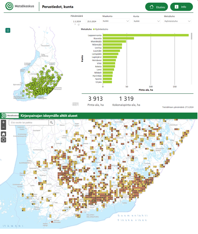 Lämpeneminen lisää hyönteisten parveilua. Omien metsien riskikohteisiin kannattaa suunnata maastoaskelia. #Avointieto #metsätieto'aineistot tuo esiin mm. ilmoitettuja hyönteistuhohakkuita sekä #kirjapainaja'riskikohteet. Alla kuvakaappaukset. Kts. linkki: metsakeskus.fi/fi/avoin-metsa…