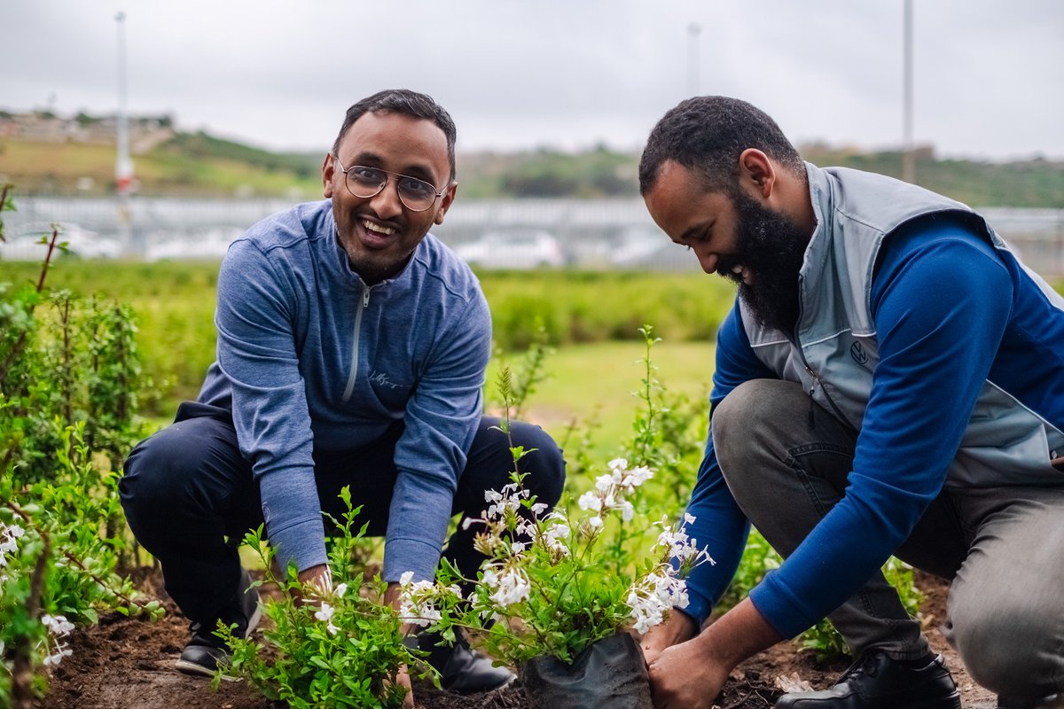 VWGAnews's tweet photo. Enhancing biodiversity is in our nature. 🏞️
Commemorating last week’s #BiodiversityDay, our employees planted 1000 Cape Plumbagos in Kariega – an indigenous flower.
Learn more about this and our other #ZeroImpactFactory efforts at Plant Kariega – https://t.co/yxwkUlkdnp. https://t.co/MVMYajFsdh