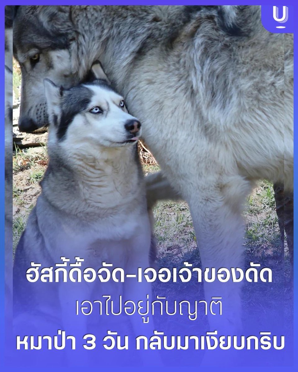 ɢ ᴏ ᴛ tweet media