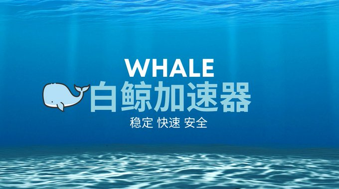 白鲸加速器（VPN找推广） tweet media