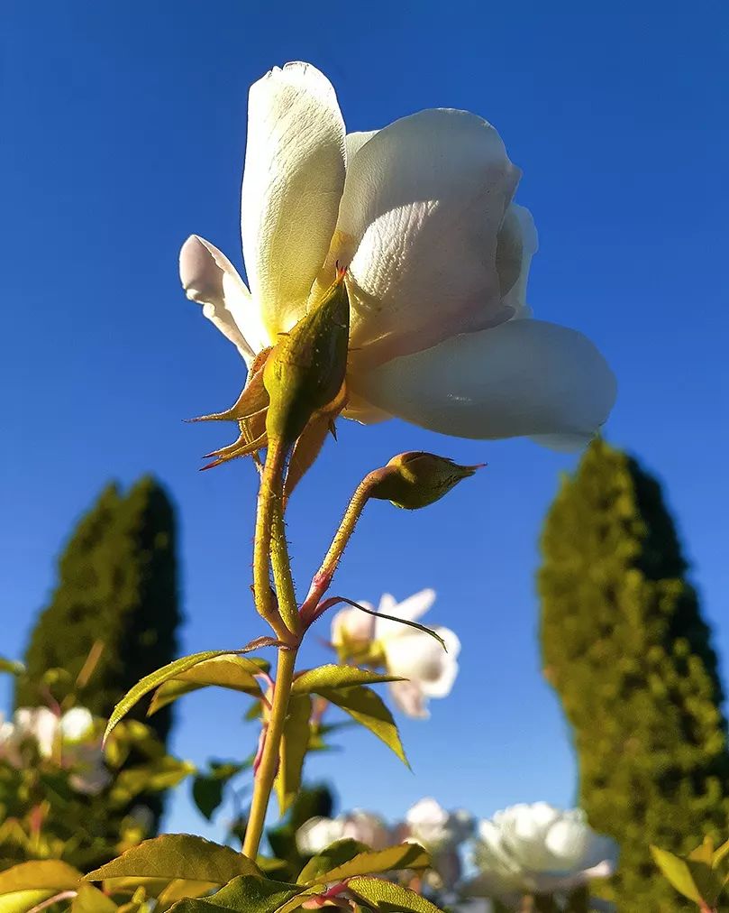 In love with photography