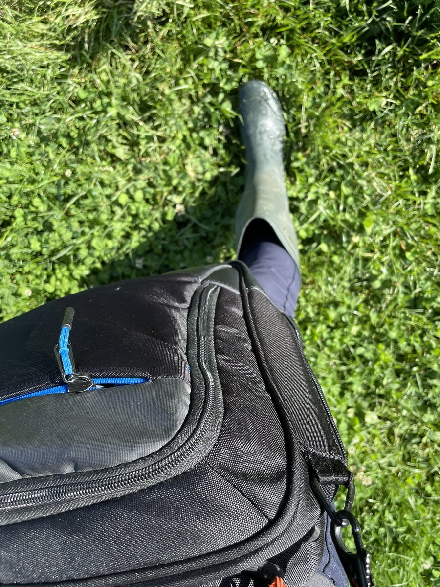 Aillyn_PP's tweet photo. Ce matin c'est un télétravail un peu particulier 😅 #PonyTime https://t.co/37e9ixkQoP