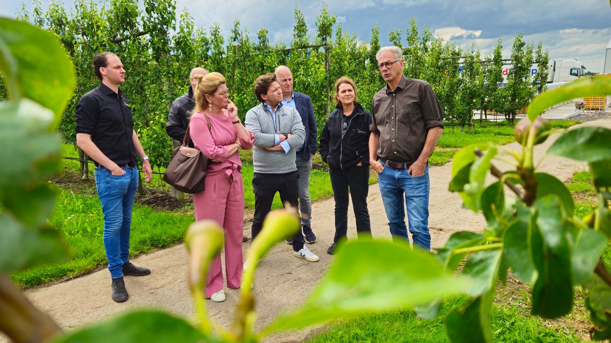 Anne van Rossum tweet media