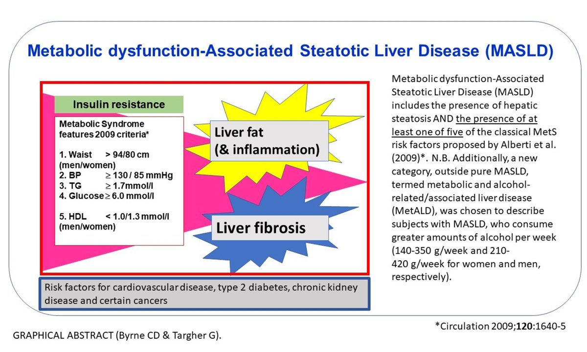 #MASLD, #MAFLD, or #NAFLD: Are We Heading Towards Another Metabolic Syndrome Debate? Insights & Perspectives 🤔
💡 Full article: oaepublish.com/articles/mtod.…
#LiverHealth #MetabolicDysfunction