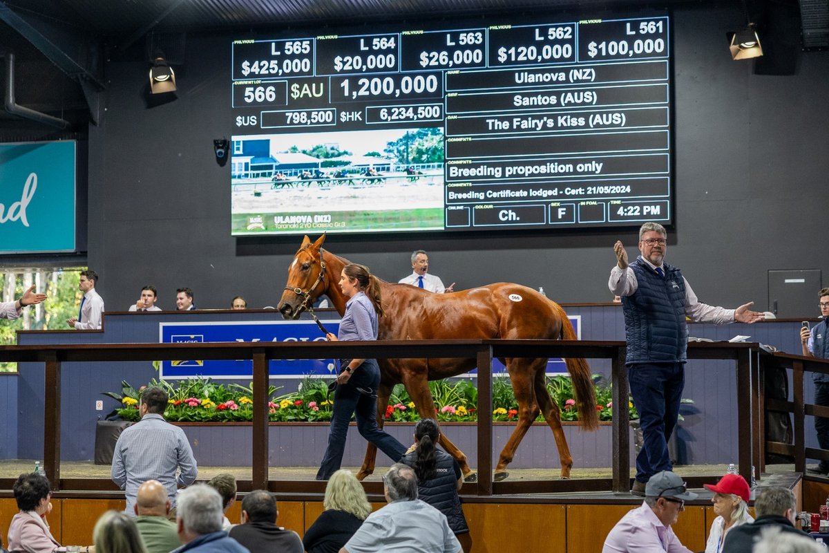 It's another outstanding result on Day 1 of the <a href="/mmsnippets/">Magic Millions</a> National Broodmare Sale for the <a href="/SledmereStud/">Sledmere Stud</a> team with G1 2YO winner Ulanova (NZ) fetching $1.2 million. Congratulations to <a href="/GandharviRacing/">Gándharví</a> &amp; co-owner David Wallace… and to <a href="/AWilliamsBldstk/">Andrew Williams</a> on your elite purchase!