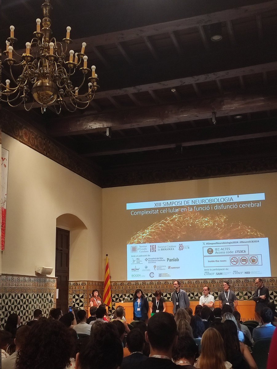 🙌🏻🙌🏻Today we are attending the Neurobiology Symposium from the Societat Catalana de Biologia. Two days ahead to present our last results and to network with our amazing colleagues!! 🧠🧠
Let's go! 🗣️👩🏻‍🔬

#SimposiNeurobiologia2024 #NeuroSCB2024