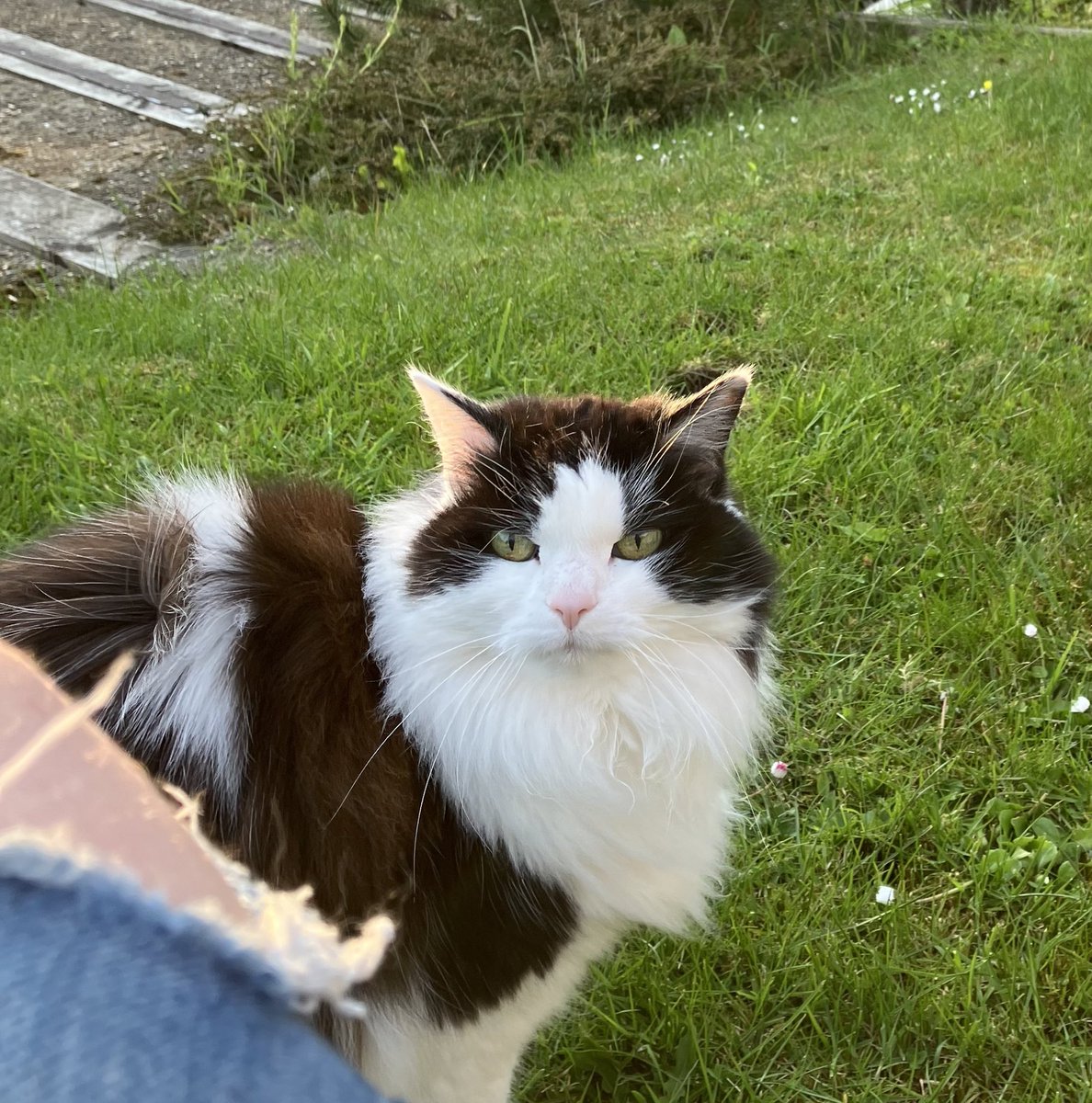 I think it would be fair to say that Her Miaowjesty had a nice weekend… ❤️
Hope you did too.