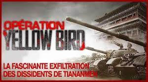 COMMEMORATION DU 35è ANNIVERSAIRE
DU MASSACRE DE LA PLACE TIAN’ANMEN
Le 1er juin 2024 de 14h30 à 18h
Médiathèque Marguerite-Yourcenar
41 r d’Alleray Paris 15
Solidarité Chine, Human Rights in China et Front de la Liberté : réflexions, souvenirs, témoignages et projection du film