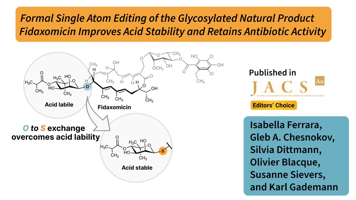 UZH Chemistry (@uzh_chemistry) on Twitter photo Formal single atom editing of the natural product antibiotic fidaxomicin presented by the <a href="/KarlGademann/">Karl Gademann</a> group and co-workers can overcome the acid lability of fidaxomicin while maintaining promising antibacterial potency. <a href="/isabellafer96/">Isabella Ferrara</a>, <a href="/UZH_Chemistry/">UZH Chemistry</a>, doi.org/10.1021/jacsau… Formal single atom editing of the natural product antibiotic fidaxomicin presented by the <a href="/KarlGademann/">Karl Gademann</a> group and co-workers can overcome the acid lability of fidaxomicin while maintaining promising antibacterial potency. <a href="/isabellafer96/">Isabella Ferrara</a>, <a href="/UZH_Chemistry/">UZH Chemistry</a>, doi.org/10.1021/jacsau…