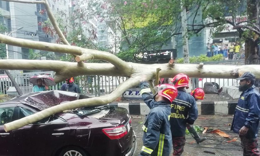 ঝড়ে ঢাকা উত্তরে উপড়ে গেল ৮৪ গাছ