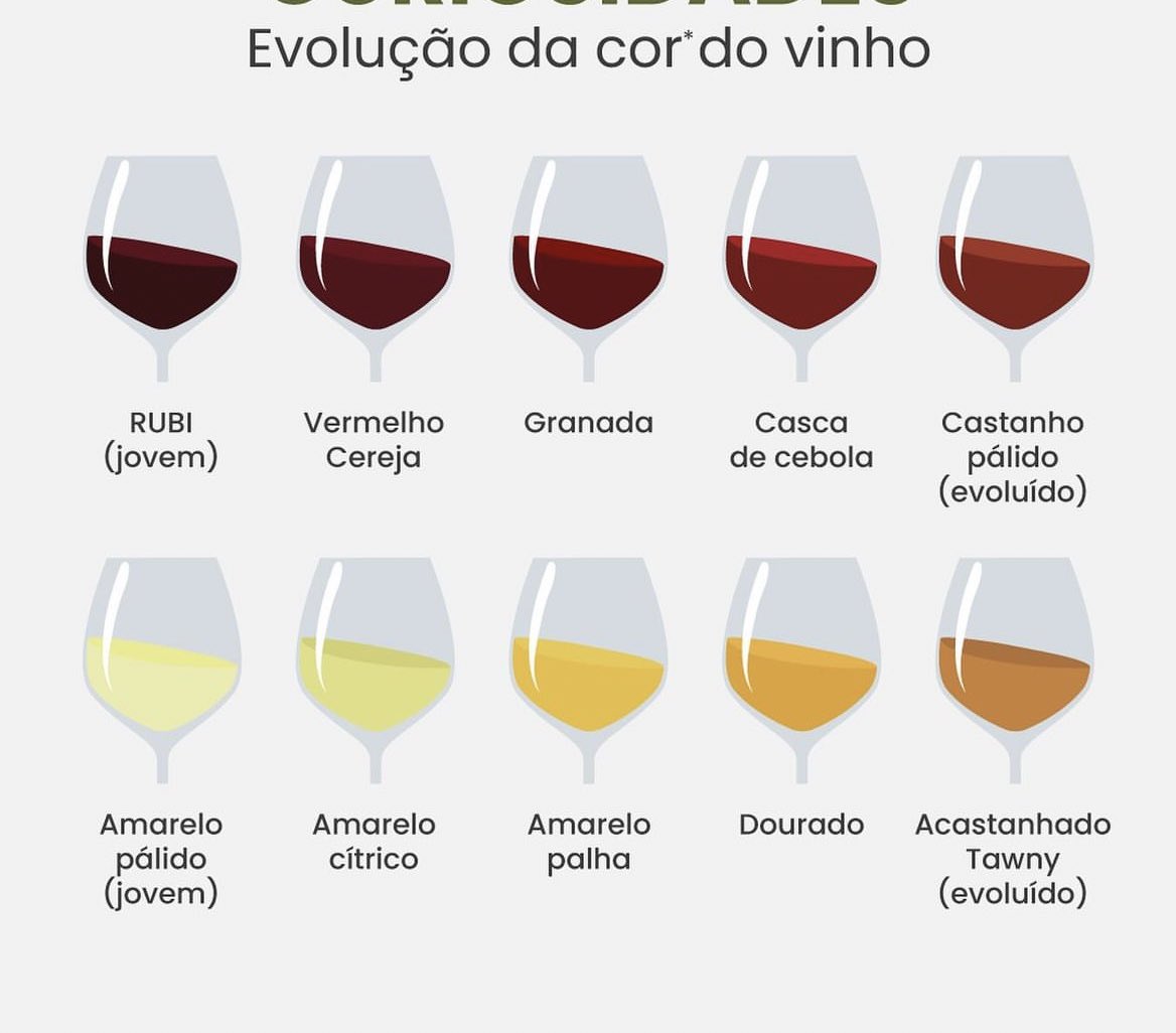 El color del #vino evoluciona con el tiempo. El color indica edad y, por regla general, a medida que envejecen, los vinos blancos se vuelven más oscuros, mientras que los vinos tintos se acercan a la gama de marrones y se vuelven más transparentes.