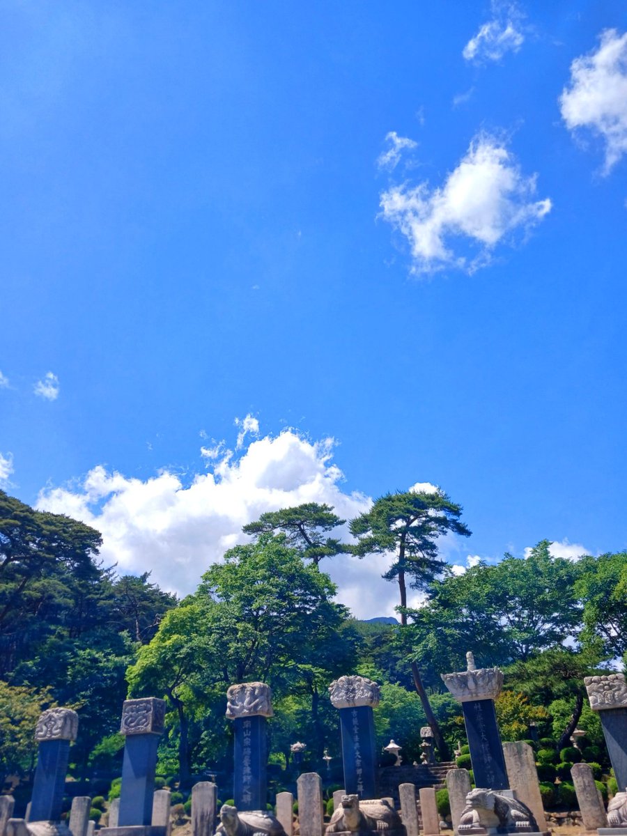 오늘 통도사 하늘이 너무 깨끗하고 맑네~🩵🩵