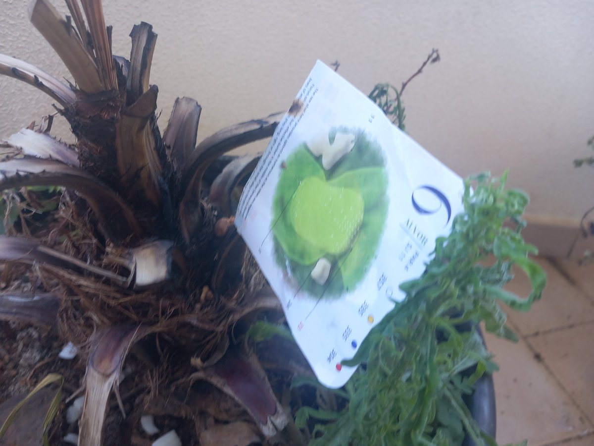 bra_ruby's tweet image. 