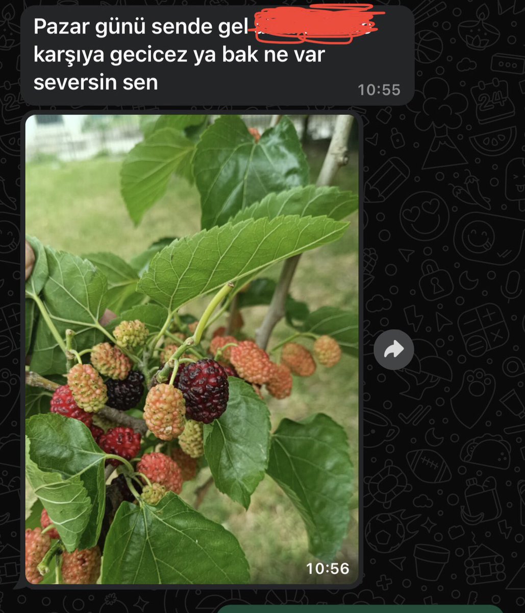 Bunu kaçak göçek yemek tabakta yemekten daha lezzetli bizde öyle yapıcaz :)