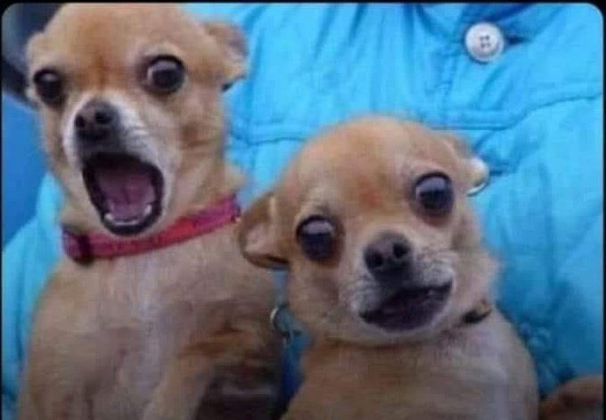 Baingana Katabazi tweet media
