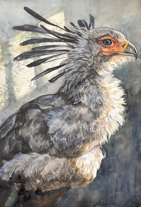 「animal focus bird」 illustration images(Latest)