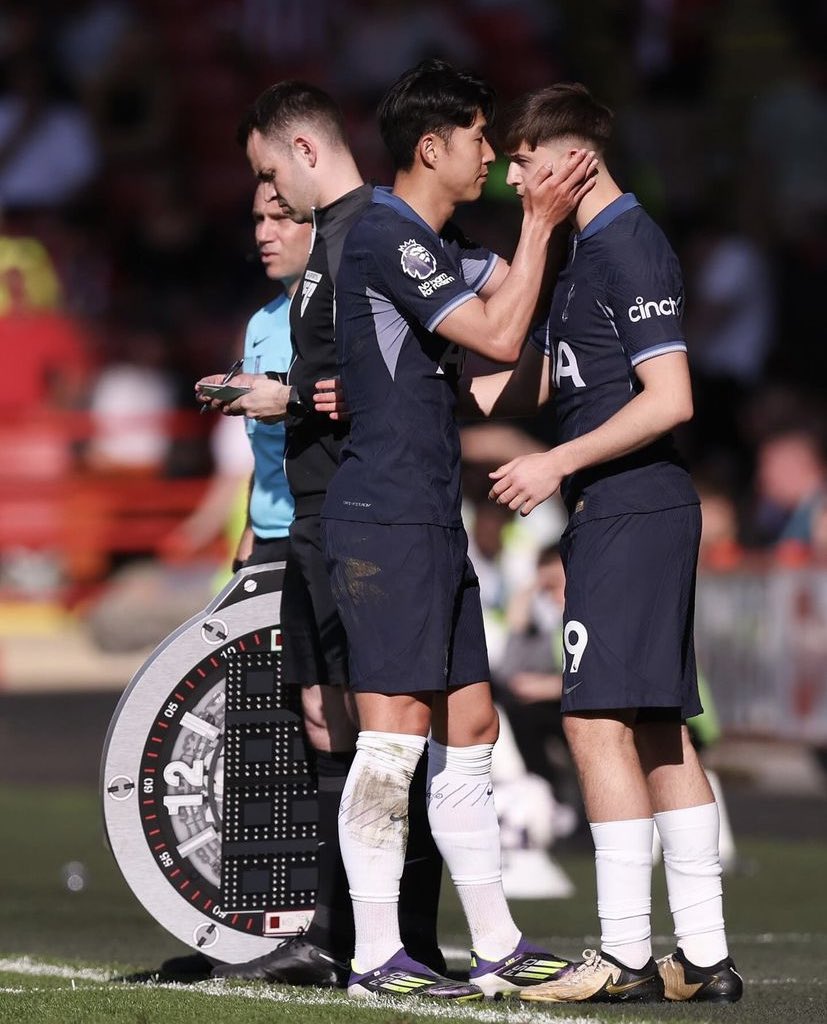 Lilywhite Rose tweet media