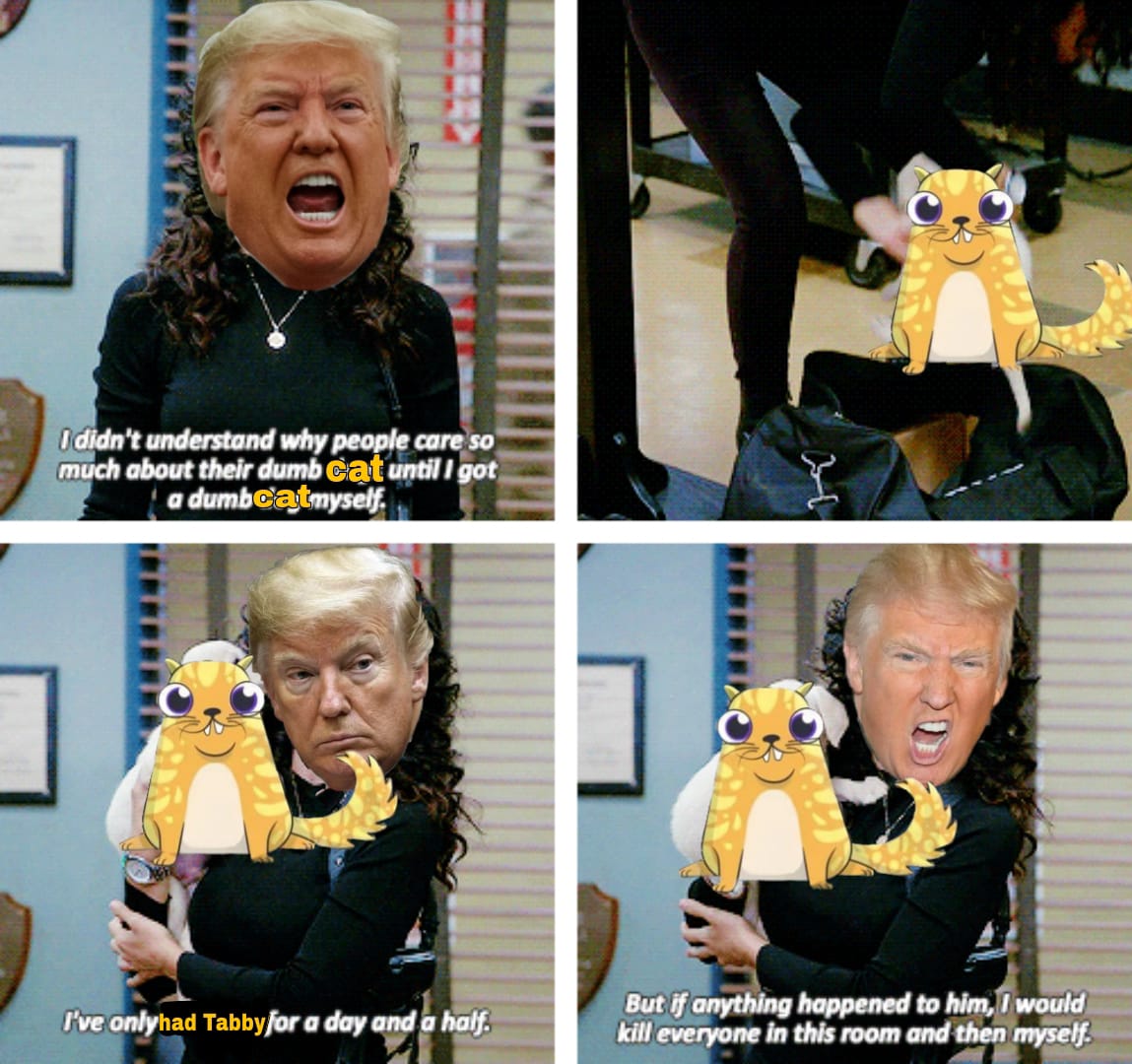 @TenderTabby <a href="/wikileaks/">WikiLeaks</a> My meme entry ❤️ @TenderTabby 
I hope you like it ser ❣️

 $TABBY
#TrumpMeme