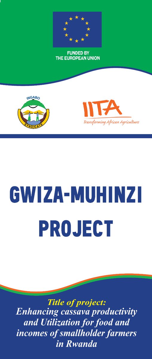 Funded by the @EUinRW through #GwizaMuhinzi project, these field Days are more intensified since May 2024 in all Districts covered by this project and the target is to train at least 10,000 farmers in the first year. @worldfarmersorg,@EAFFinfo,@IFAD,@IITA_CGIAR,@AgriterraRwanda