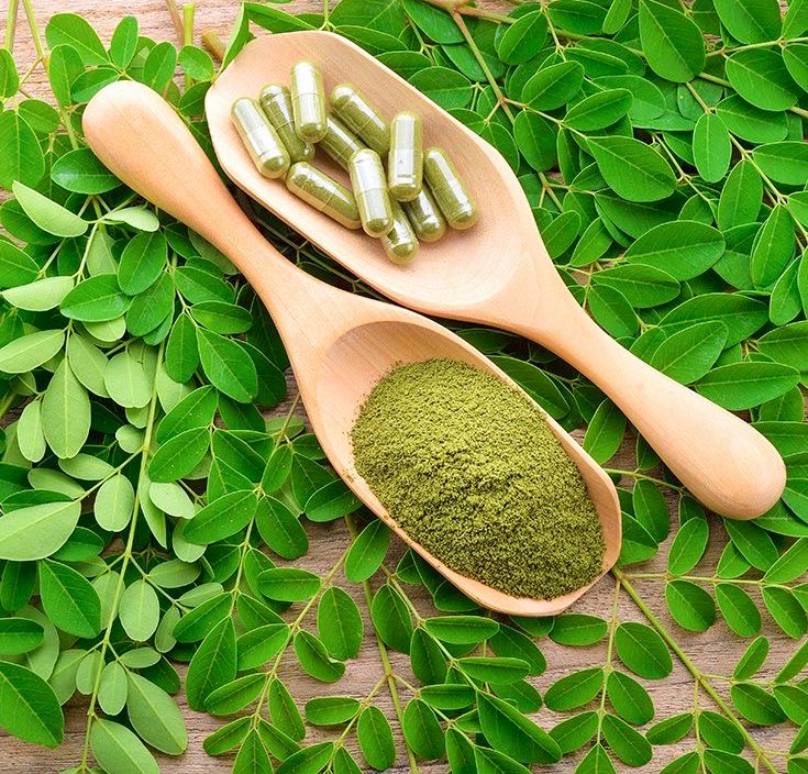 Moringa stands as a genuine superfood. Moringa leaves are rich in B vitamins, essential amino acids, vitamins A and C, as well as calcium, iron, potassium, and magnesium. Its seeds contain oleic acid, vitamins, and minerals. Moringa's hypoglycemic properties make it an excellent