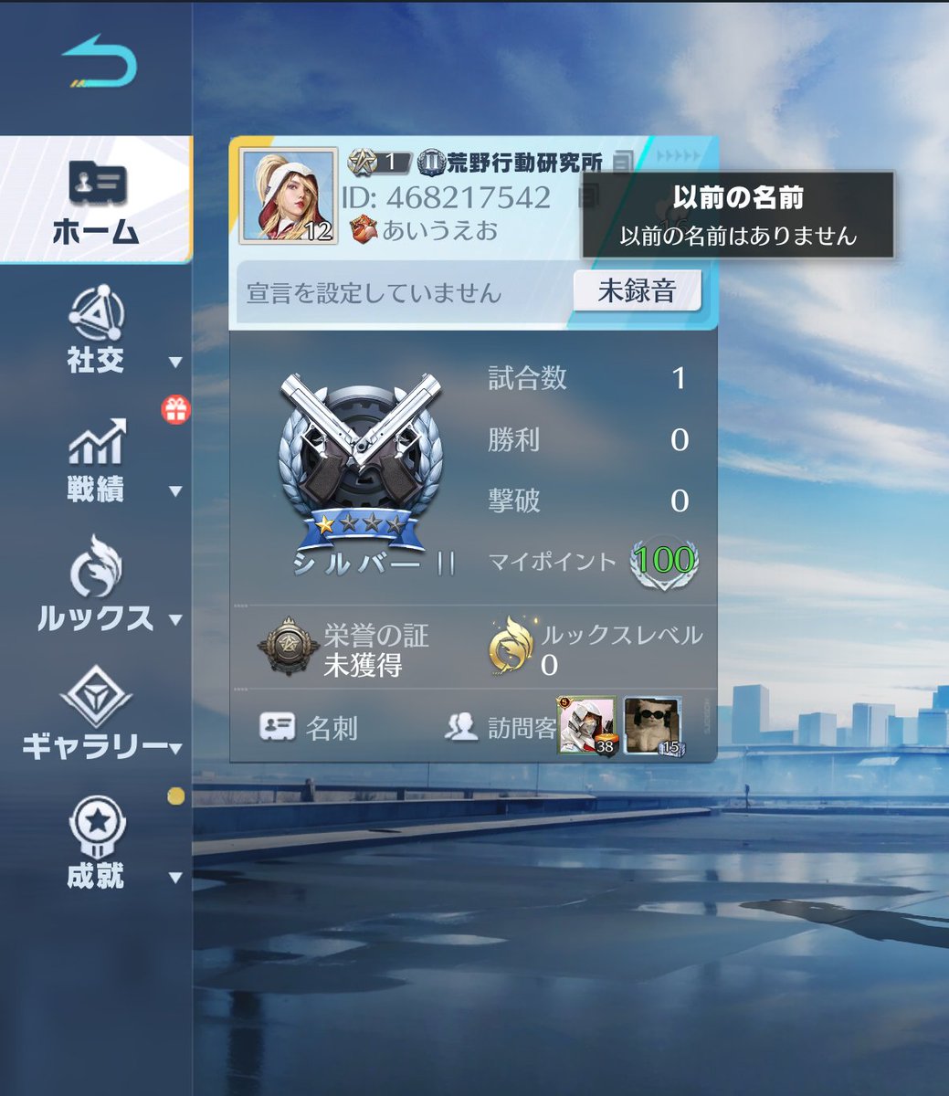 活動歴および当時の関連ビジュアル記録