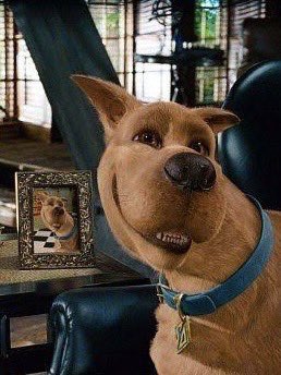 corporate needs you to find the differences between this picture and this picture