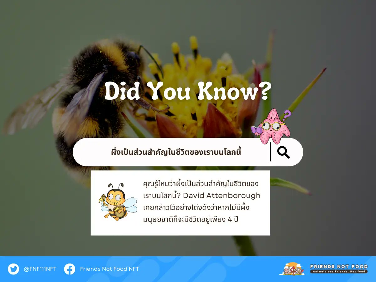 คุณรู้ไหมว่าผึ้งเป็นส่วนสำคัญในชีวิตของเราบนโลกนี้? David Attenborough เคยกล่าวไว้อย่างโด่งดังว่าหากไม่มีผึ้ง มนุษยชาติก็จะมีชีวิตอยู่เพียง 4 ปี 🐝

friends-not-food.com/bees-are-integ…