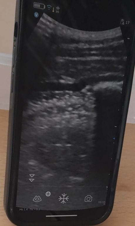 Paul O'Hara tweet media