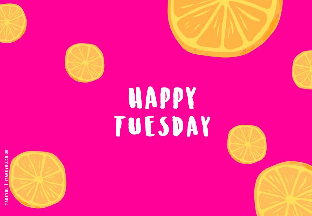 ContFruitsTavistock tweet media