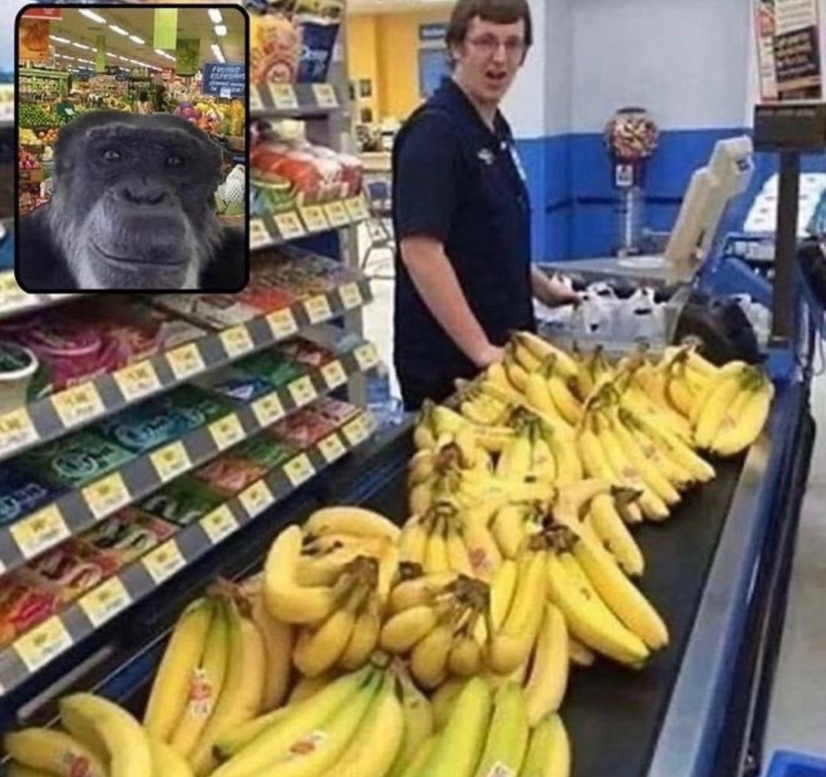 Out of Context Human Race tweet media