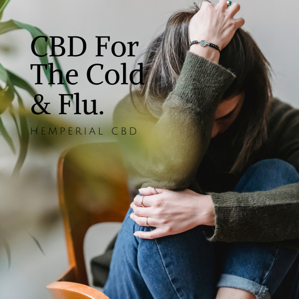 HemperialCBD's tweet photo. CBD for Anxiety and Depression: A Comprehensive Understanding
https://t.co/stTfyToo94 https://t.co/4WHy2uJO6f