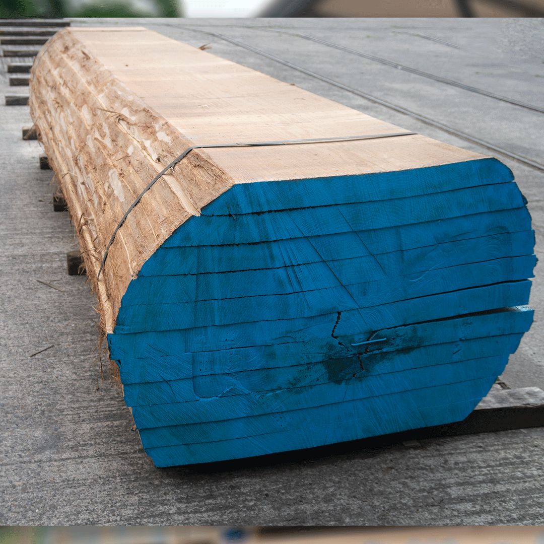 DuffieldTimber tweet picture