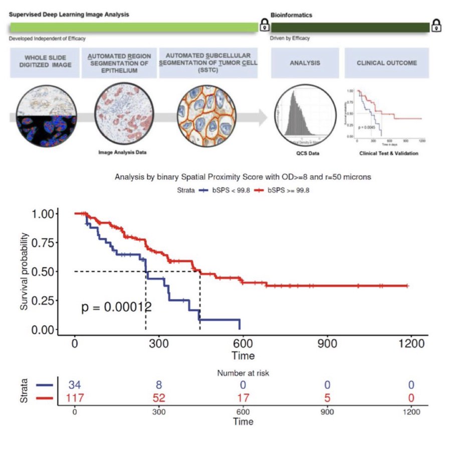 🔹 HER2 quantitative continuous scoring for accurate patient selection in HER2 negative trastuzumab deruxtecan treated breast cancer 

#BreastCancer 

nature.com/articles/s4159…