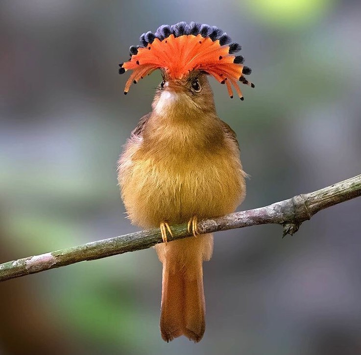 GOq-99OWsAAlgNl?format=jpg&name=900x900