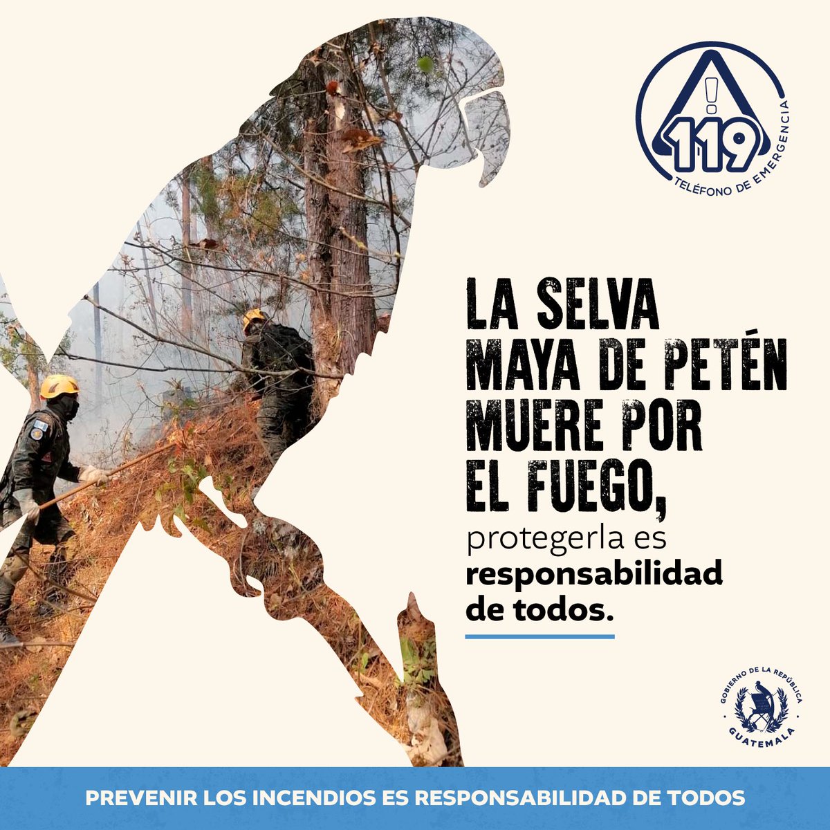 Las especies que viven en Petén necesitan nuestra acción urgente. 🐆🦜‼️ Unámonos para salvaguardar nuestro ecosistema y reportar a quienes provoquen los incendios que dañan a nuestra biodiversidad. #ProtejamosGuatemala.