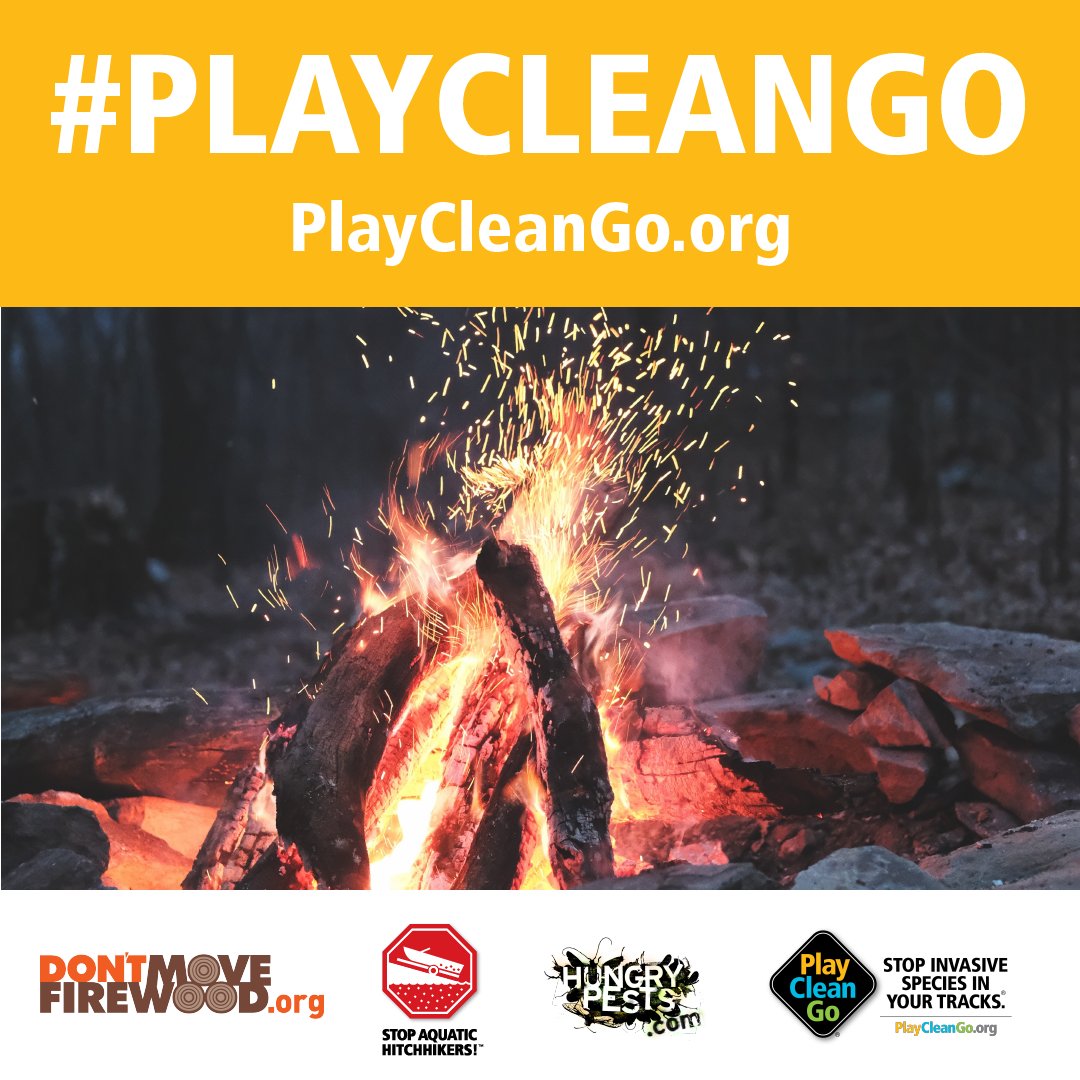 HungryPests's tweet image. Much of the long-distance spread of invasive pests is related to recreational activity. By adding simple #PlayCleanGo steps to your routine, like not moving untreated firewood, you can make a huge impact. dontmovefirewood.org
#PlayCleanGo #DontMoveFirewood