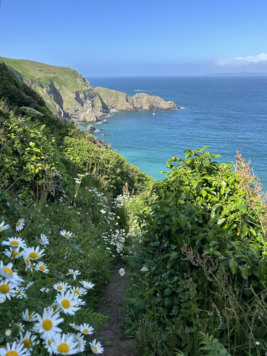 Dreaming of Sark summer scenes #Sark #island #Guernsey 🌞