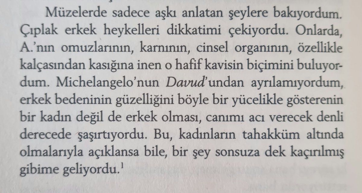 @celilsadk Kadın gözüyle Davut kıskançlığı 🙂
Annie Ernaux'nun Yalın Tutku kitabından ❤️