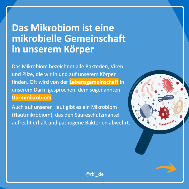 rki_de's tweet photo. 🦠 Das menschliche #Mikrobiom umfasst alle Mikroorganismen, die in und auf unserem Körper leben. Es spielt eine entscheidende Rolle für die Gesundheit.

In #WasIstEigentlich geht es insbesondere um das Darmmikrobiom, dessen Ausgewogenheit essenziell für das Wohlbefinden ist. ⬇️