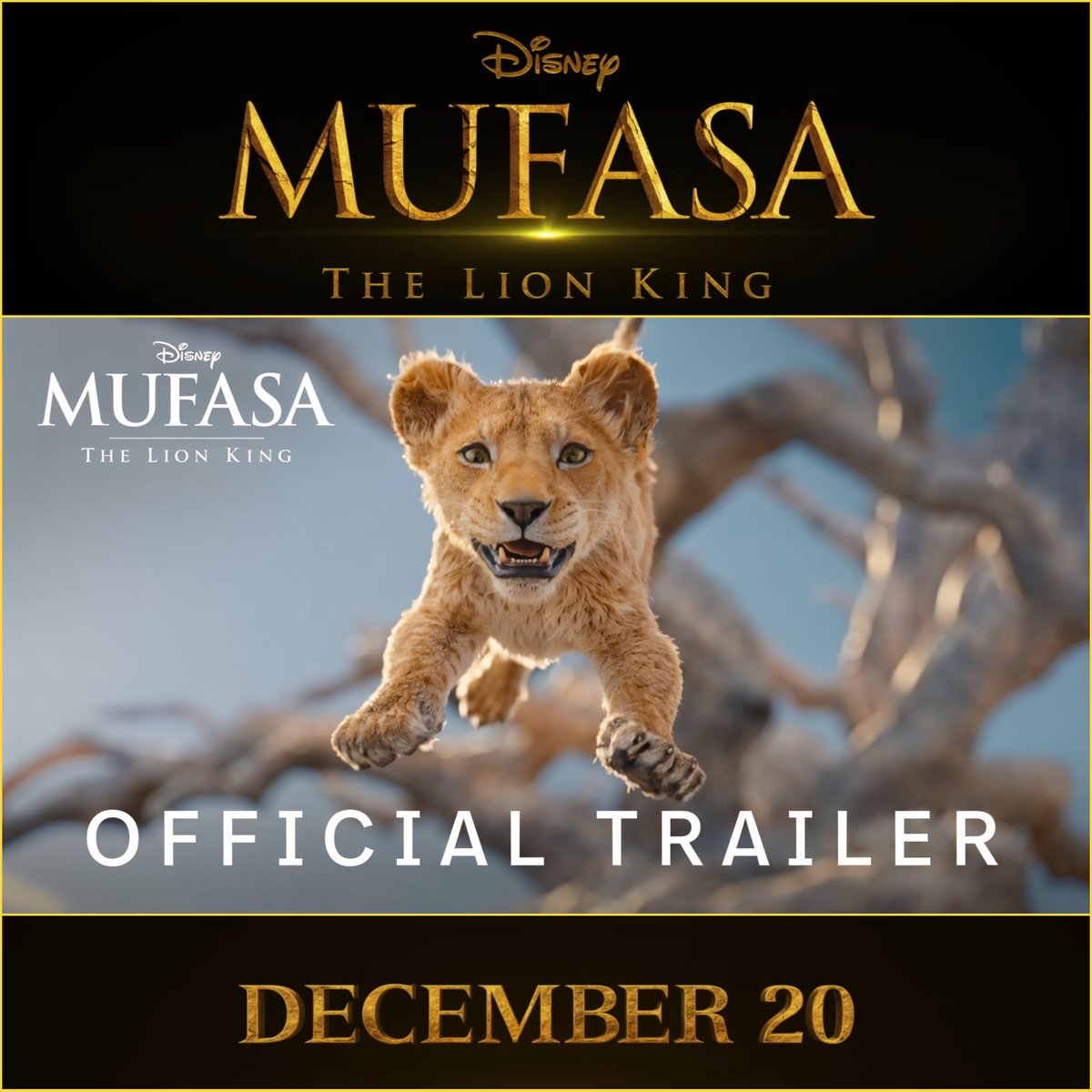 News - Be Informed By @RebusFarm . 🌐 bit.ly/3R4hvj8 . Walt Disney Studios - Mufasa: The Lion King Official Trailer . The beloved lion King returns. Mufasa explores the King's rise and legacy in theaters on December 20, 2024! . #vwartclub #vrayworld #rebusfarm #news