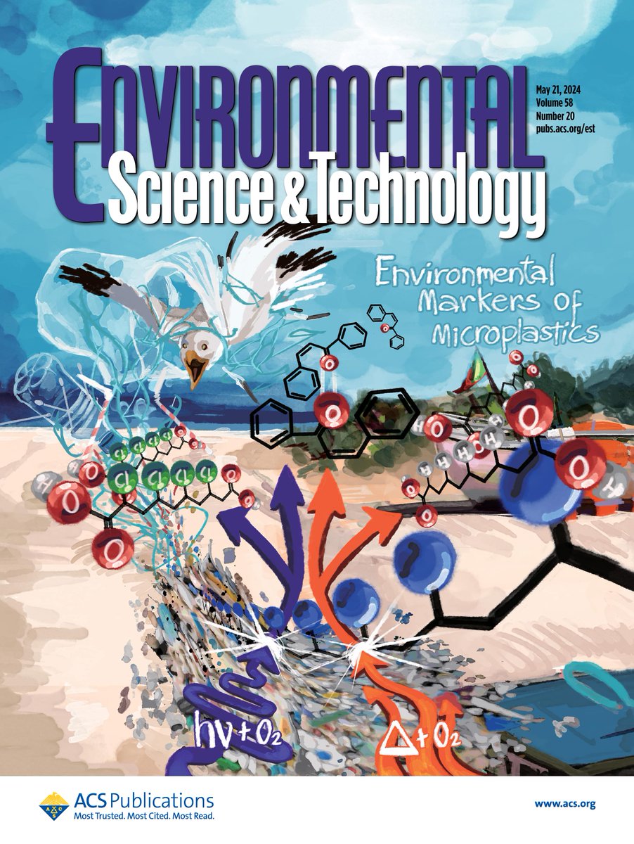 From the cover of ES&T: Targeted and untargeted #LCHRMS analysis identifies products associated with chemical and photochemical degradation of plastics and also helps to screen #microplastics in the sand. @UAlg @CienciasDoMar

Read more here 👉 go.acs.org/9xu