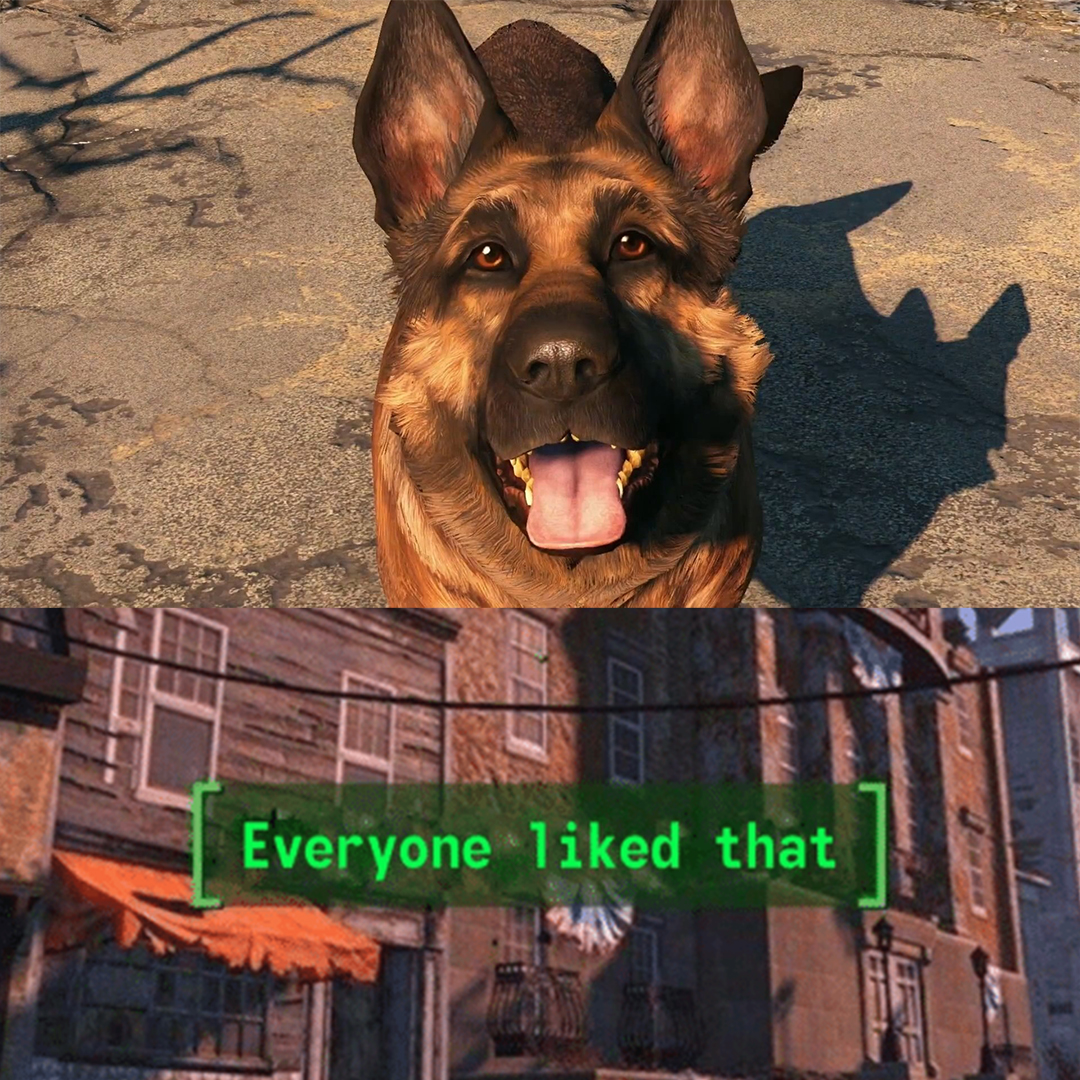 Dogmeat: *exists*