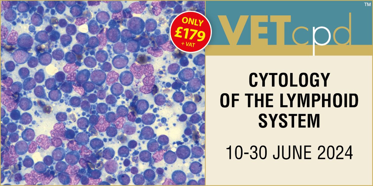 Cytology of the Lymphoid System

This comprehensive course will give you the basics you need for interpretation of the most common conditions affecting the lymphoid organs (mostly lymph nodes).

vetcpd.co.uk/product/cytolo…