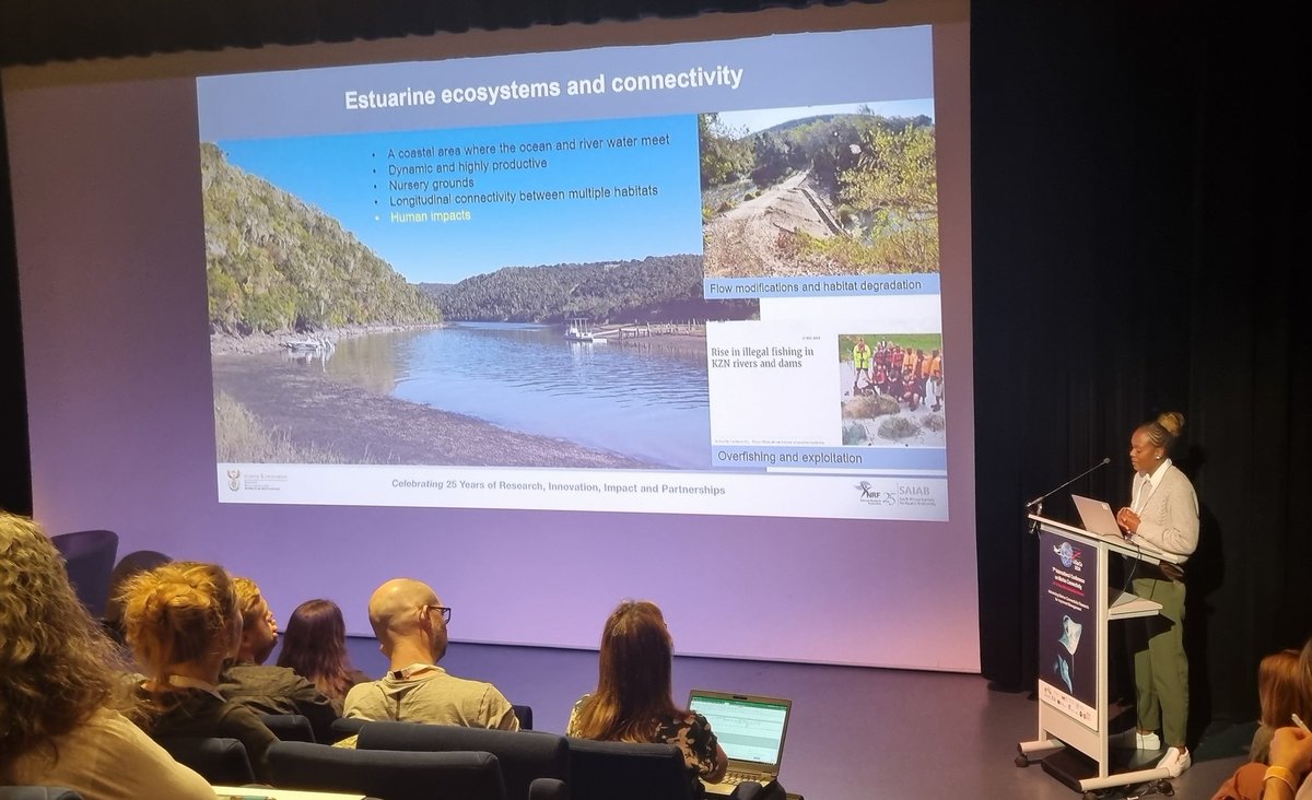 Second proud supervisor moment today! This time it was <a href="/DmMukhari/">Dinah Mukhari</a> telling the #IMARCO2024 audience about her flathead mullet work in the Kowie Estuary #SouthAfrica 🐟🇿🇦