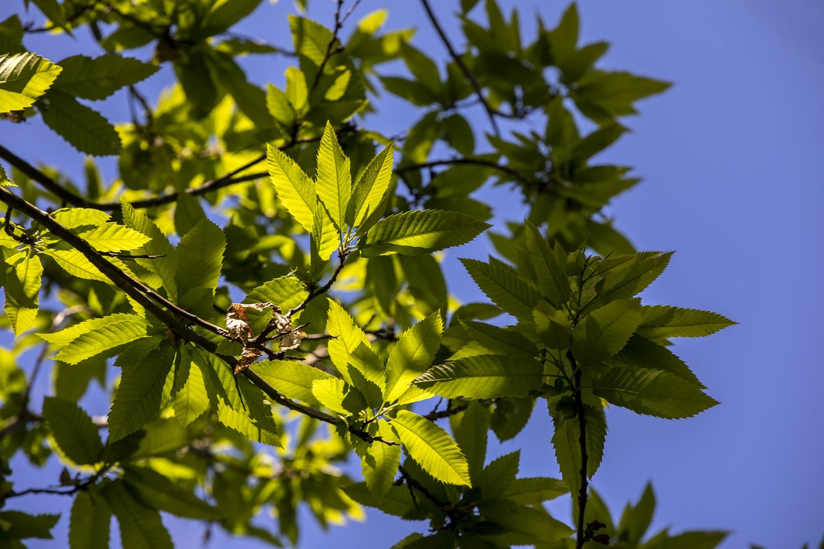 🥼 O Sergas comeza cos primeiros proxectos da súa Estratexia de Economía Circular 2030

➡️ 20 especialistas encargaranse de desenvolver durante os vindeiros seis anos a estratexia que situará Galicia na vangarda da protección do medio ambiente

ℹ️ xunta.gal/notas-de-prens…